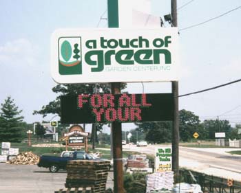 touch of Green